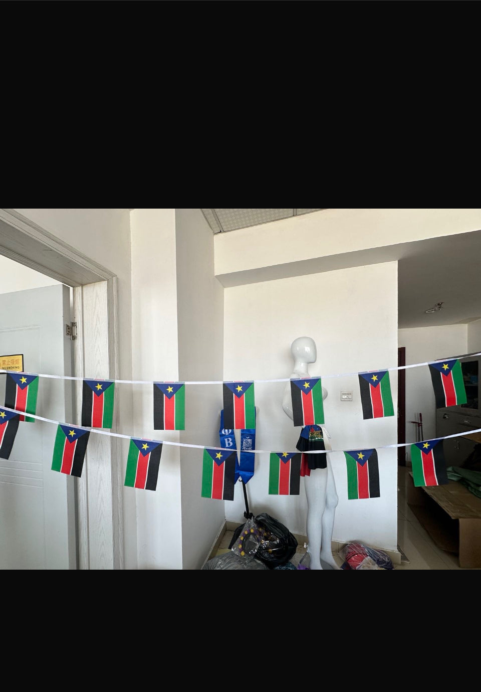 South Sudan Flag