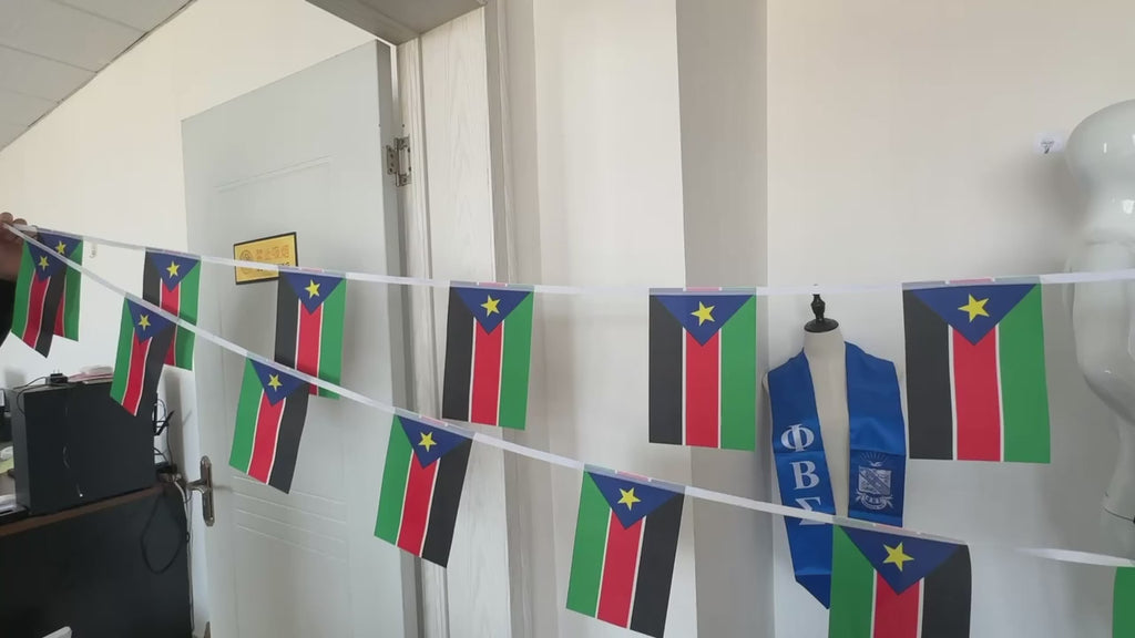 South Sudan Flag