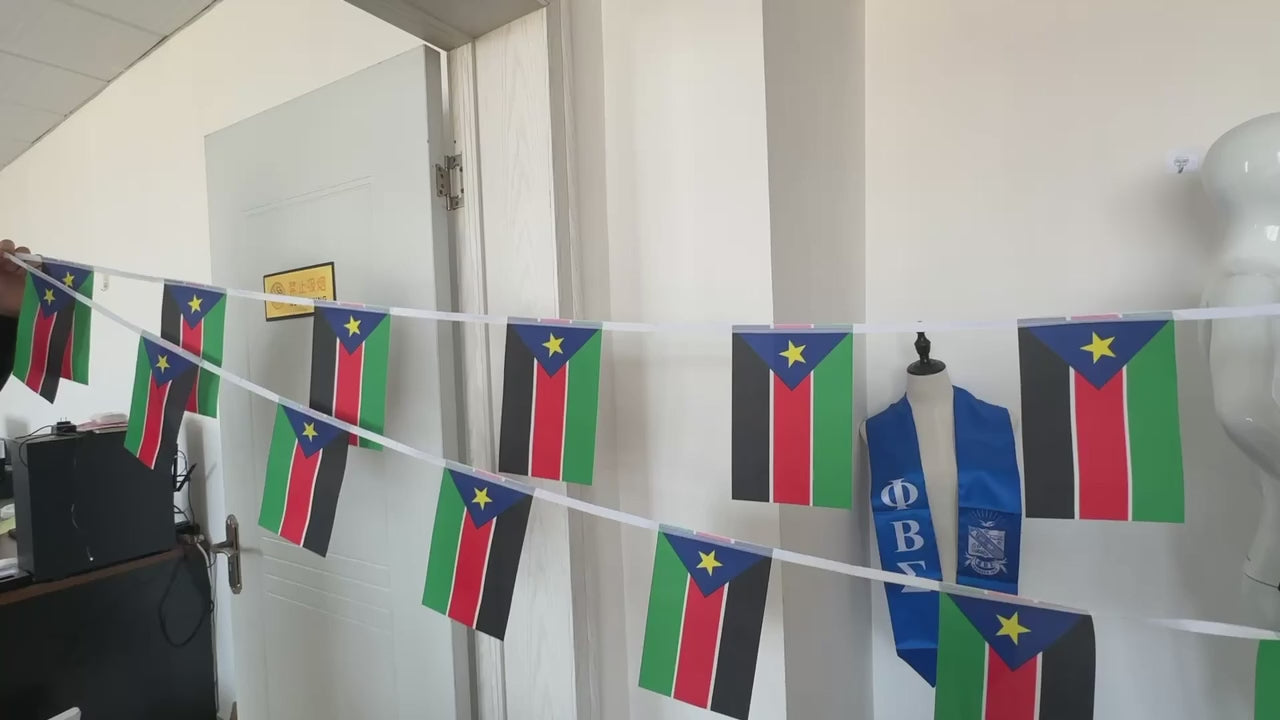 South Sudan Flag